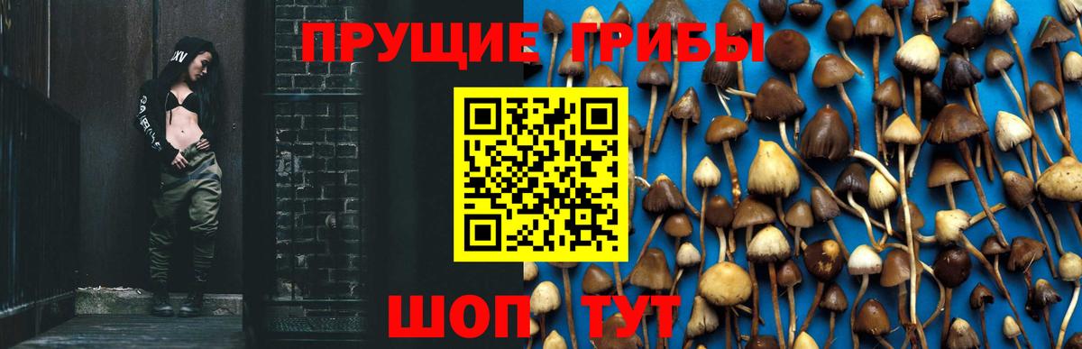 Нягань  Галлюциногенные грибы ЛСД  Псилоцибиновые грибы GOLDEN TEACHER  Вход с VPN 